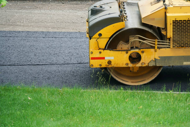 Best Driveway Pavers Contractor  in Forreston, IL
