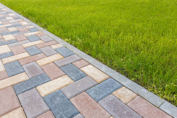 Best Driveway Pavers Near Me  in Forreston, IL